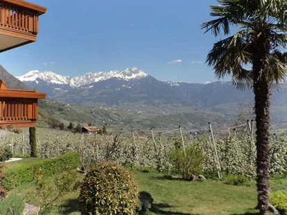 Pensionen - Restaurant - Von März bis November ist unsere Pension geöffnet. Aber wann ist die ideale Wanderzeit? Im Frühling, wenn die Natur erwacht, zur Baumblüte im April, im Sommer, wenn man die schönsten Hochtouren machen kann, im Herbst zur Apfel- und Weinlese oder im Oktober zum Törggelen?
Das entscheiden Sie selbst, denn jede Jahreszeit ist eine Reise wert! - Pension Plarserhof