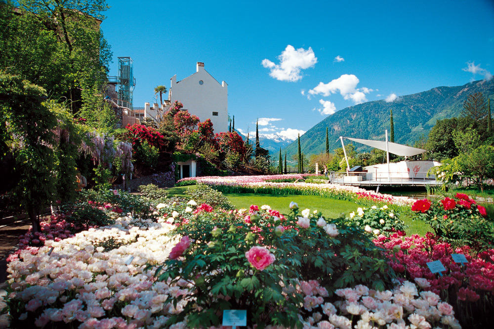 Pension Plarserhof Ausflugsziele Schloss Trautmansdorff