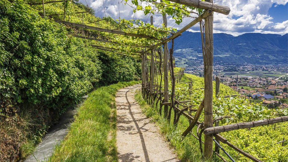 Pension - Restaurant Löwen Ausflugsziele Algunder Waalweg