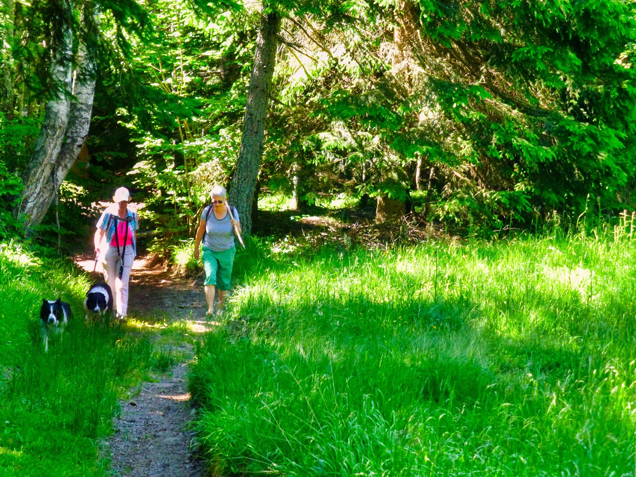 Langeshof Ausflugsziele Naturpark Trudner Horn 