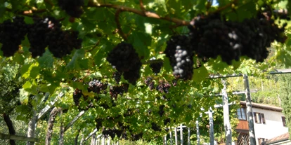 Pensionen - Naturns - Huber Hof