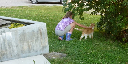 Pensionen - Naturns - Steinerhof Hafling