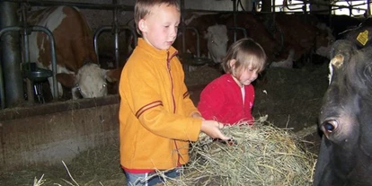 Pensionen - Naturns - Steinerhof Hafling