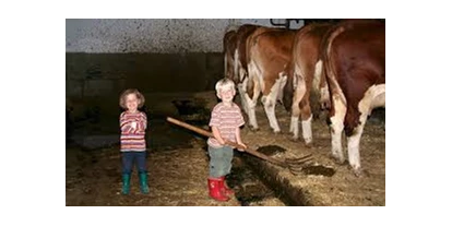Pensionen - Naturns - Steinerhof Hafling