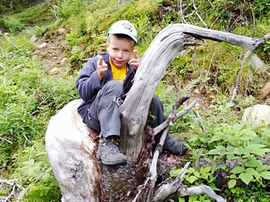 Frühstückspension: Pension  Trausberg **