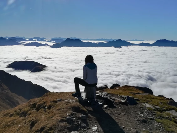 Frühstückspension: Pension  Trausberg **