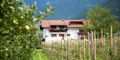 Pensionen - Naturns - Unser Hof in mitten von Obstbäumen - Sackgut- Hof