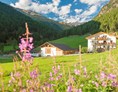 Frühstückspension: Der Biobauernhof Inner-Glieshof im wunderschönen Matschertal im Vinschgau-Südtirol - BIO-Bauernhof Inner-Glieshof