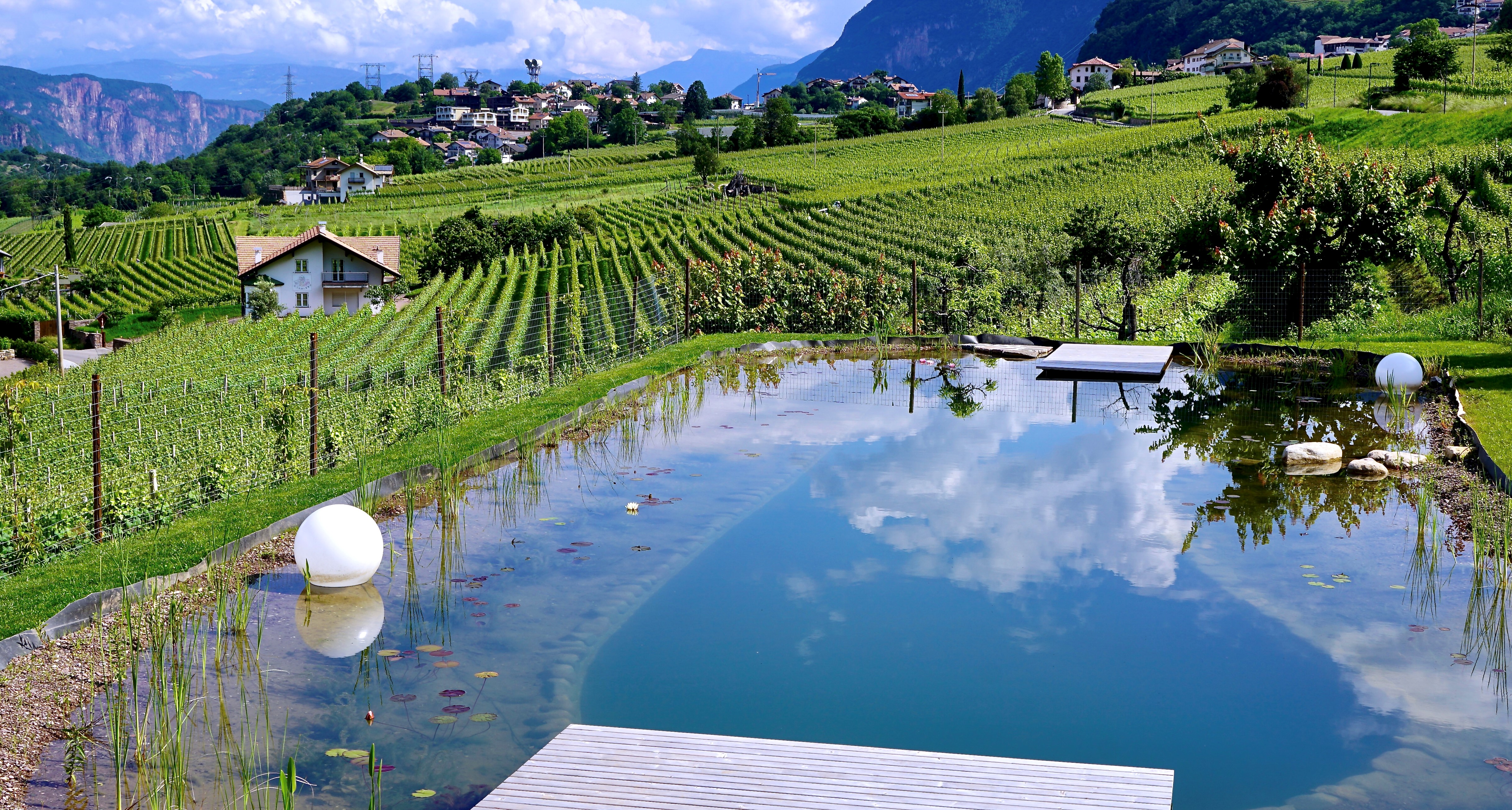 Frühstückspension: Teich - Burgunderhof