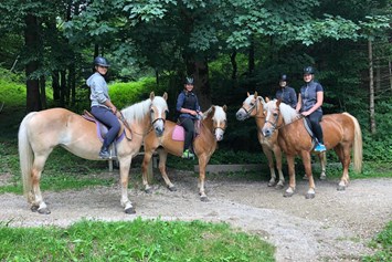 Frühstückspension: PFERDE
Unsere Pferde sind sehr rücksichtsvoll und lieben es Ausreiten zu gehen. - Ferienpension Am Haflingerhof