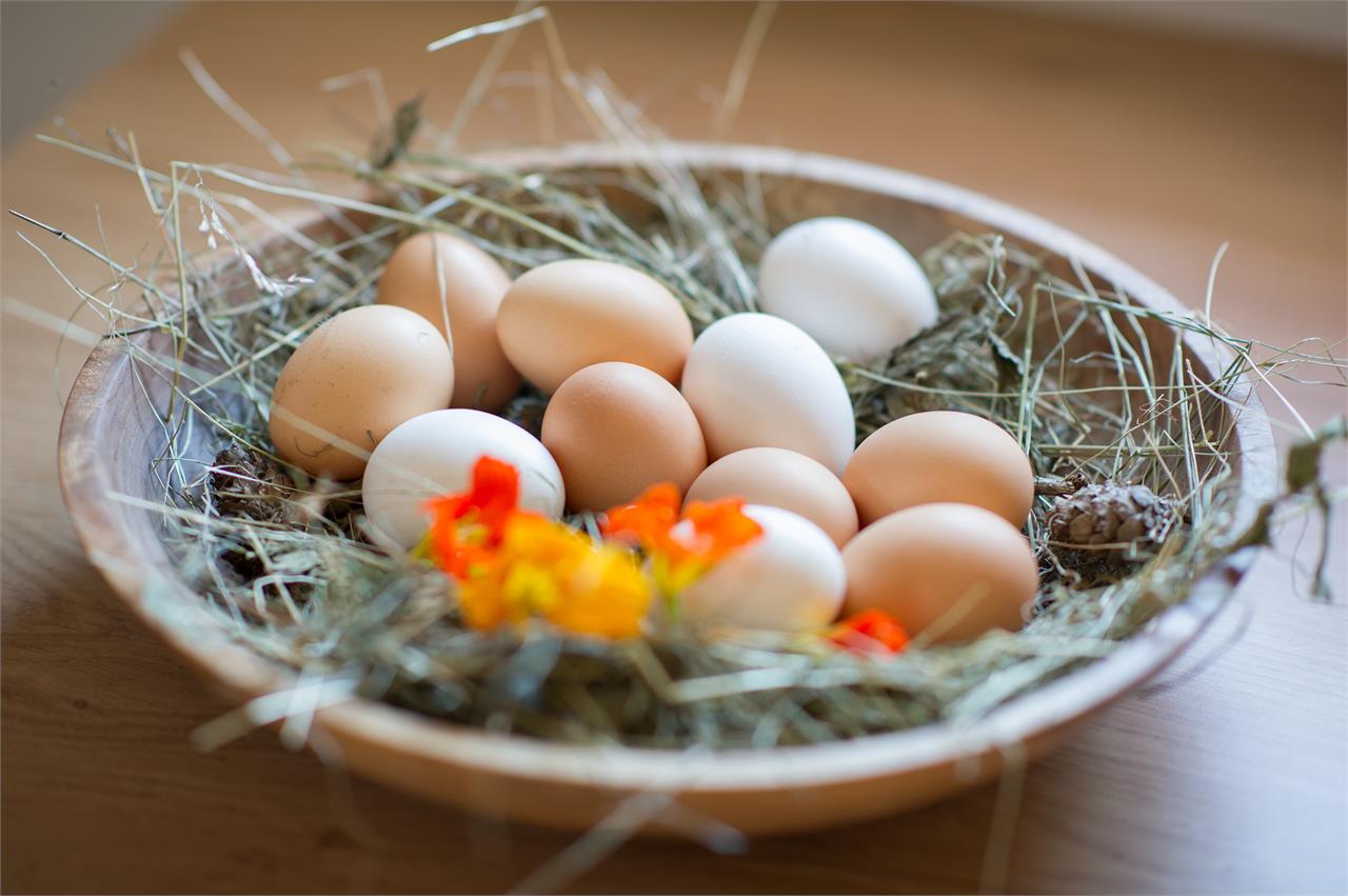 Pensionen - Neumarkt - Frühstückseier Freiland  - Gasshuberhof der Fam. Mauracher 