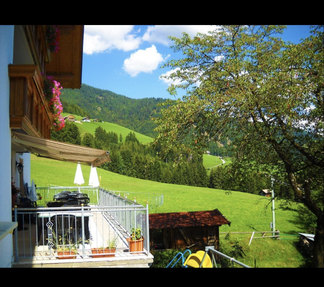 Pensionen - Hunde: erlaubt - St. Magdalena - Terasse und Garten - Gasthof Hohenbichl