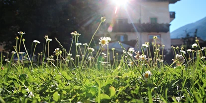 Pensionen - Naturns - Garten  - Pension Pernthaler