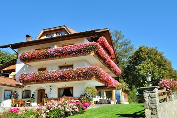 Frühstückspension: Ausblick auf die Blumen der Pension Erlacher  - Hotel Pension Erlacher
