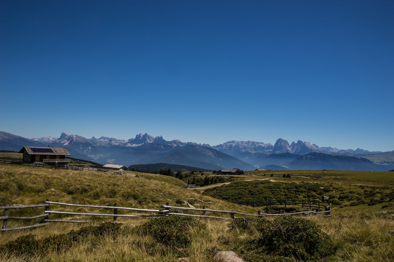 Hotel Pension Erlacher Ausflugsziele Villanderer Alm 