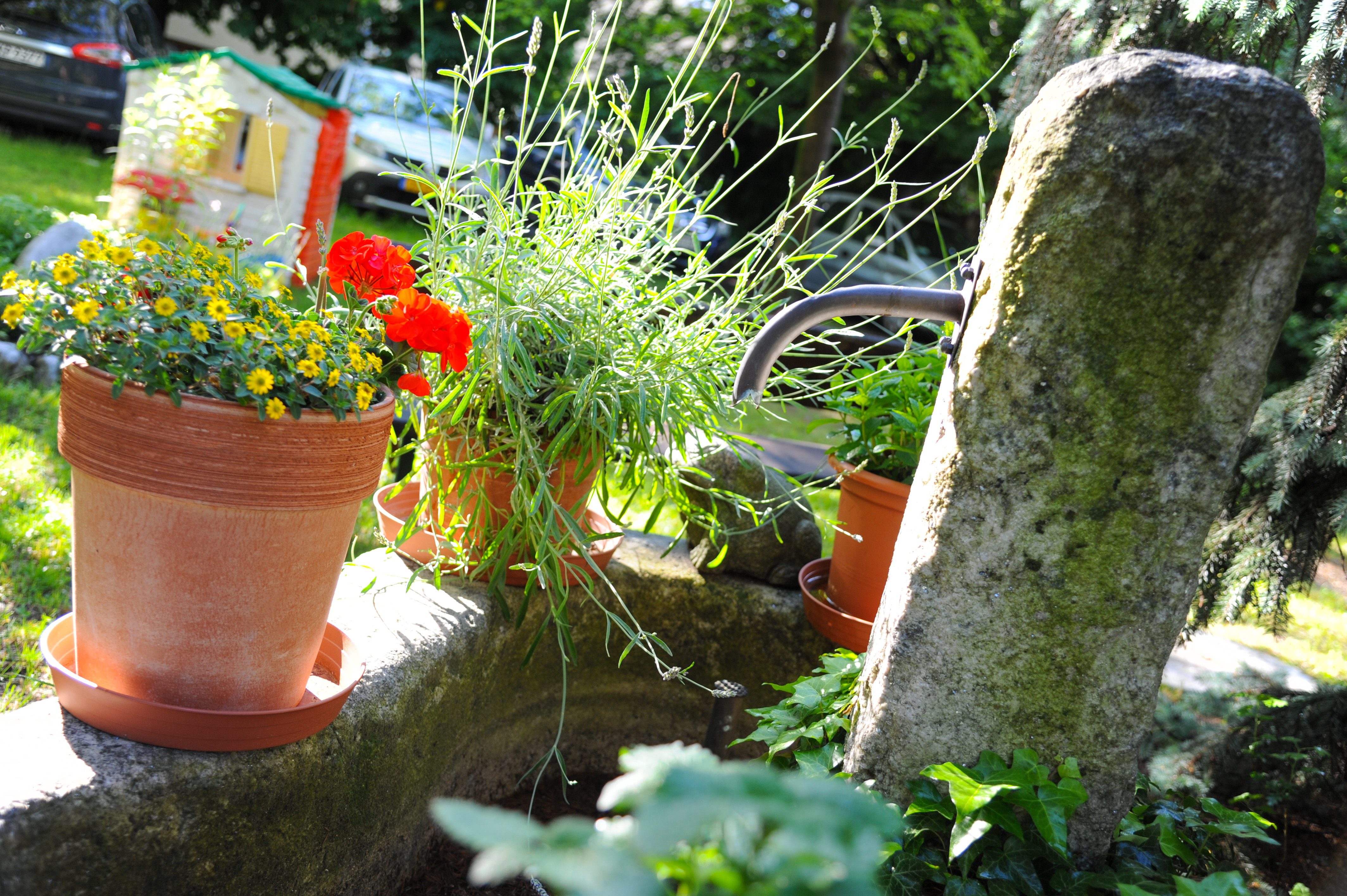 Pensionen - Balkon - Italien - Hotel Pension Schweitzer