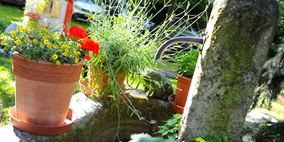 Pensionen - Naturns - Hotel Pension Schweitzer