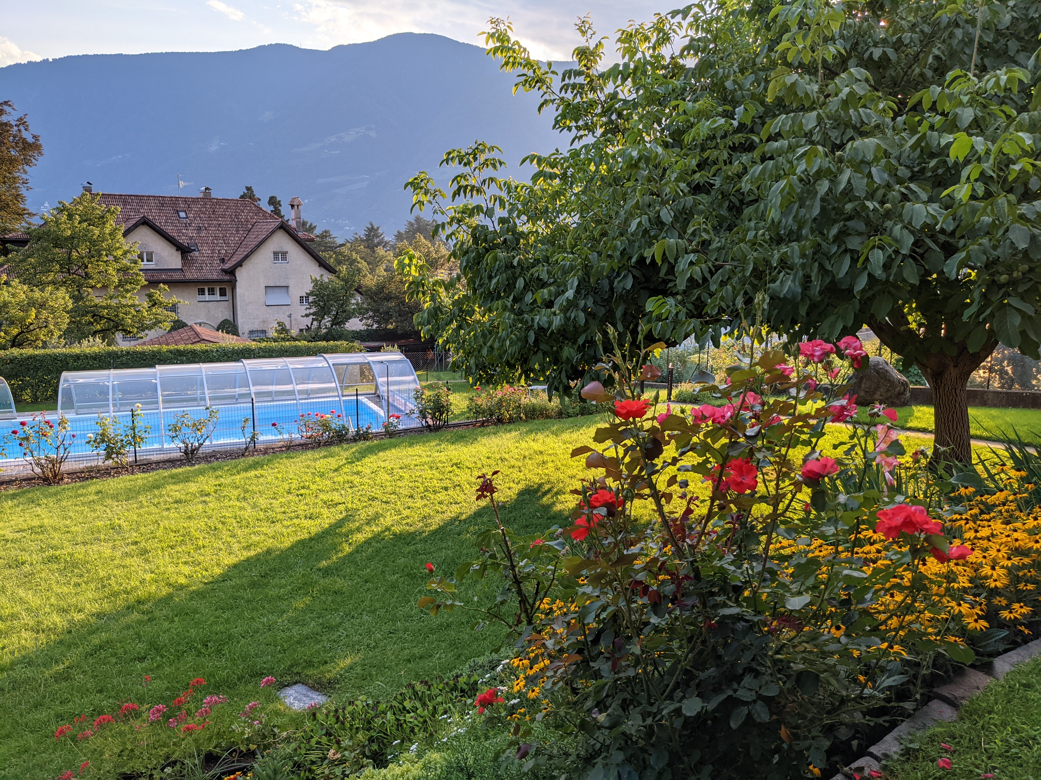 Frühstückspension: Haus Trenkwalder