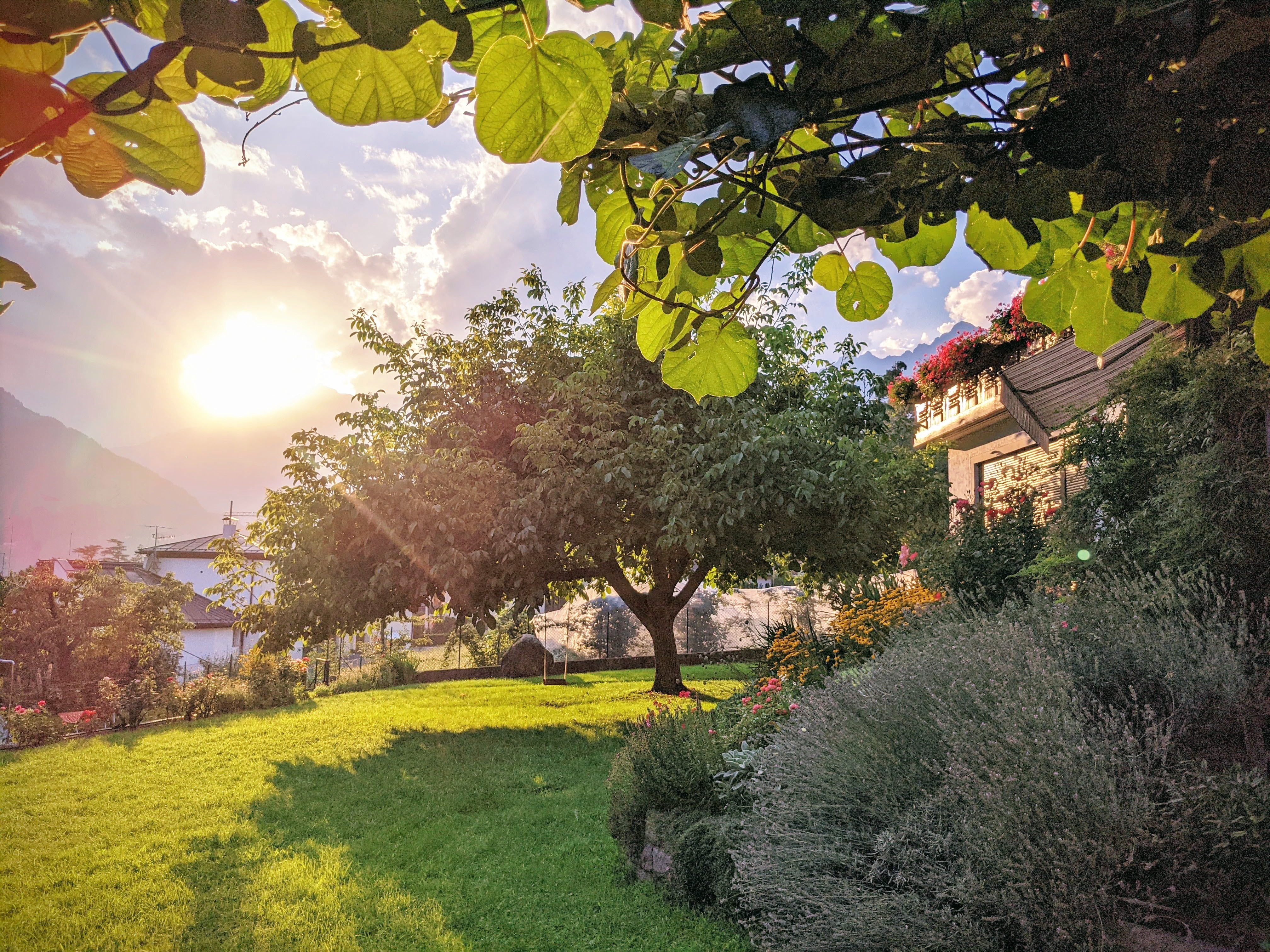 Frühstückspension: Haus Trenkwalder