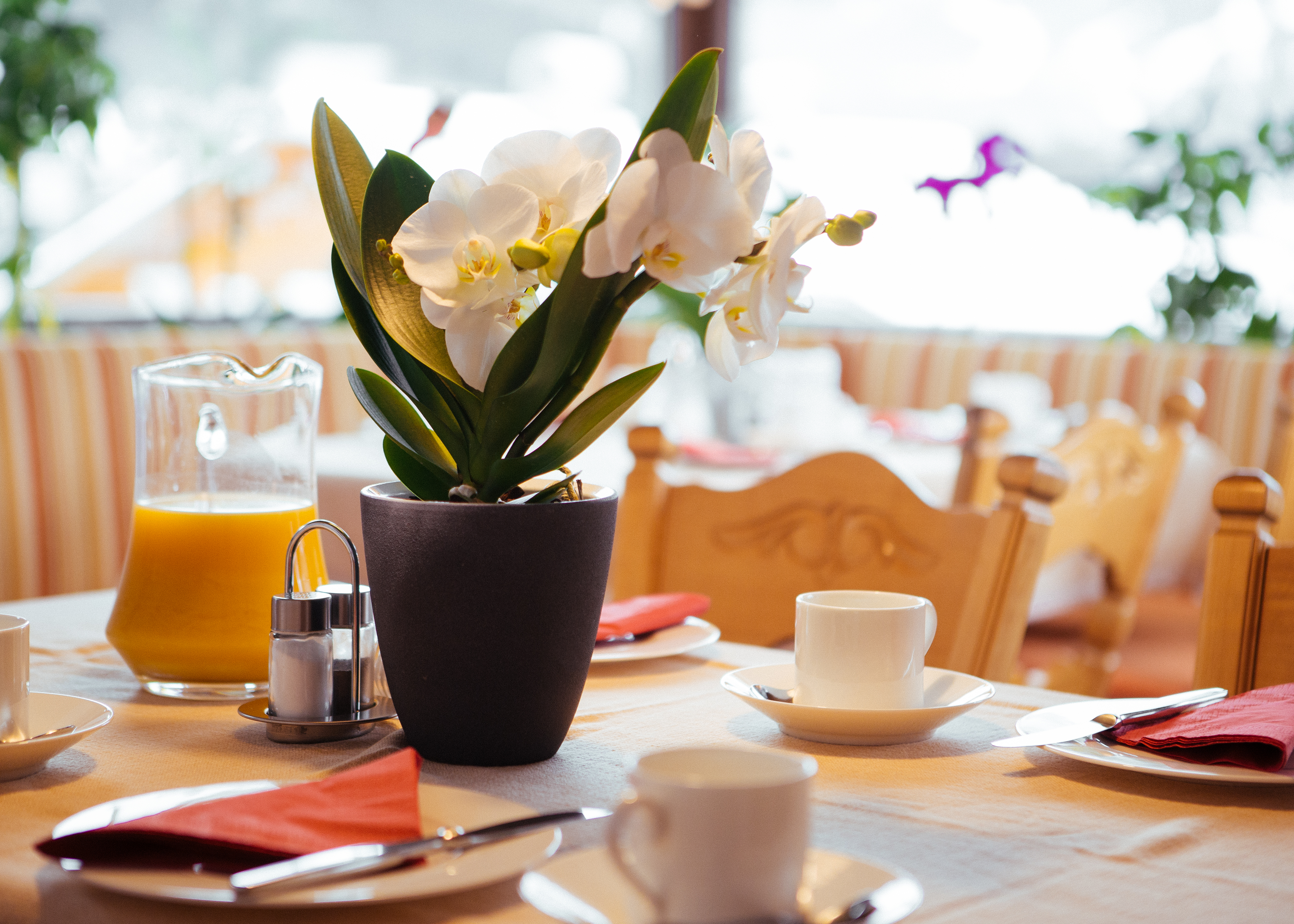 Pensionen - Schwangau - Birkenhof