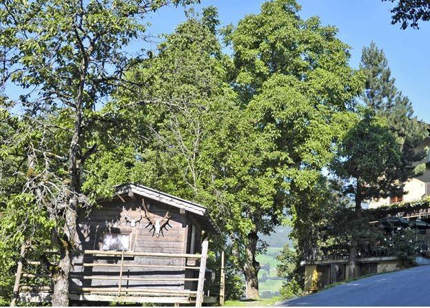 Frühstückspension: Gasthof Jägerklause