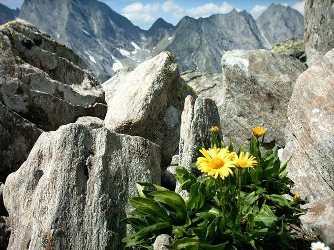 Frühstückspension: Sportpension Christina