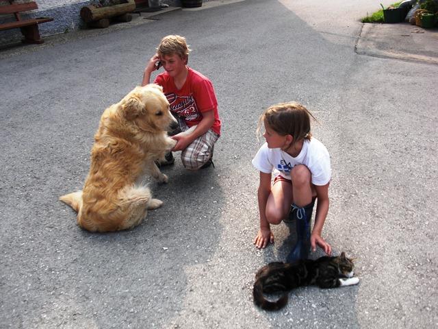 Pensionen - WLAN - Bad Mitterndorf - Familien-Ferienhof Peterhof