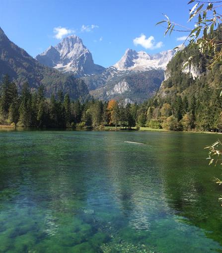 Frühstückspension: Ferienwohnungen Pfleger