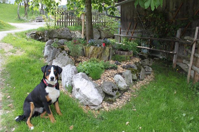 Frühstückspension: Ferienhof Singerskogel