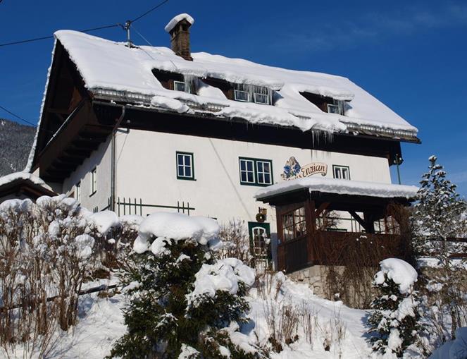 Frühstückspension: Haus Enzian