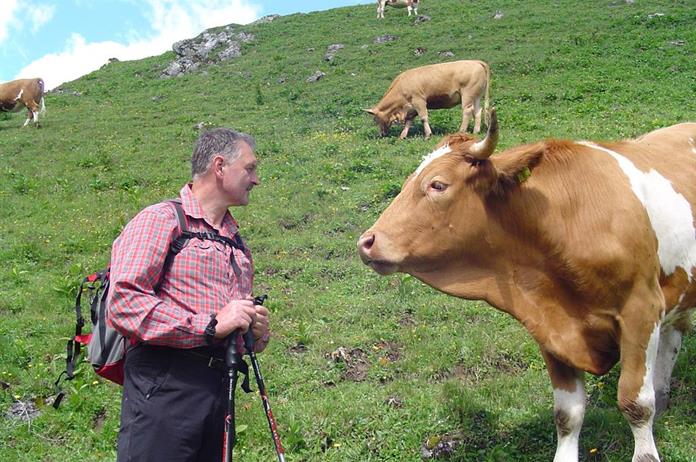 Frühstückspension: Bio-Hof Gausrab