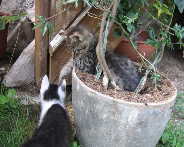 Frühstückspension: Bio-Hof Gausrab
