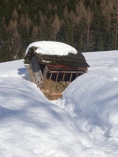 Frühstückspension: Ferienhof Hochbrandt