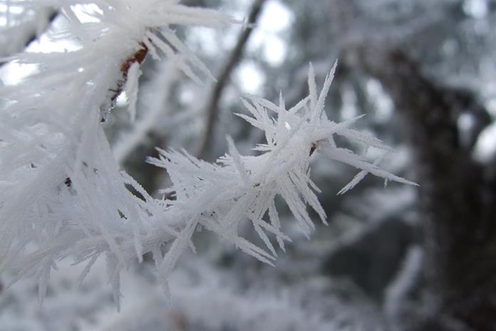 Frühstückspension: Ferienhof Hochbrandt