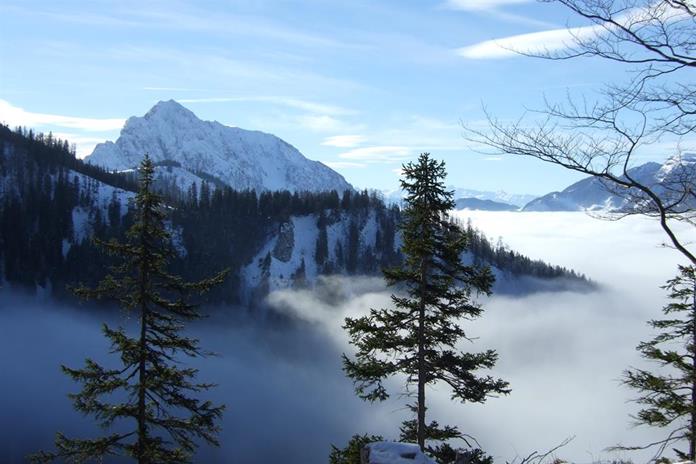 Frühstückspension: Ferienhof Hochbrandt