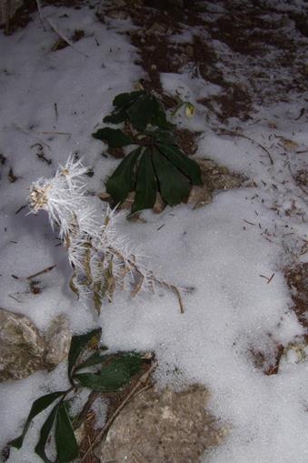 Frühstückspension: Ferienhof Hochbrandt