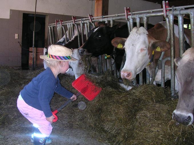 Pensionen - Admont (Admont) - Knirschenhof