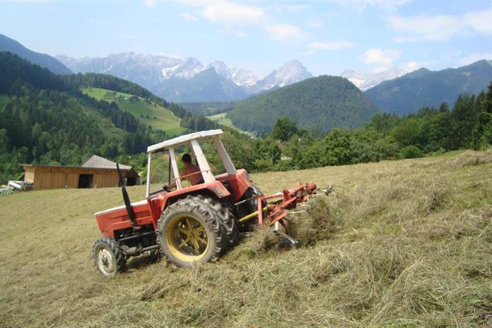 Frühstückspension: Pferde- und Schafhof Klinser