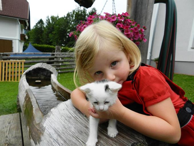 Pensionen - Großraming - Baby- und Kinderbauernhof Riegler