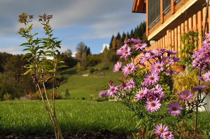 Frühstückspension: Ferienhof Hintergrabenbauer