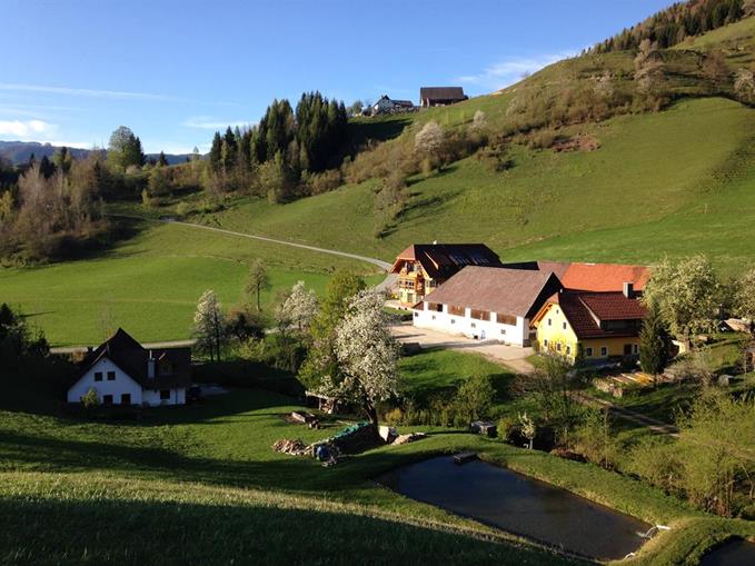 Frühstückspension: Ferienhof Hintergrabenbauer