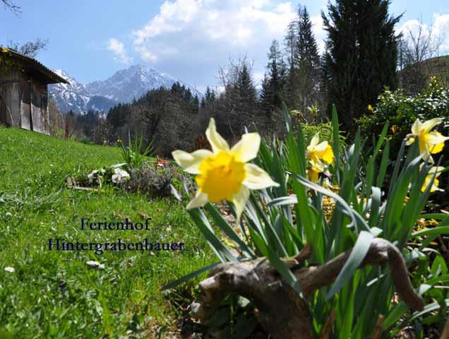 Frühstückspension: Ferienhof Hintergrabenbauer