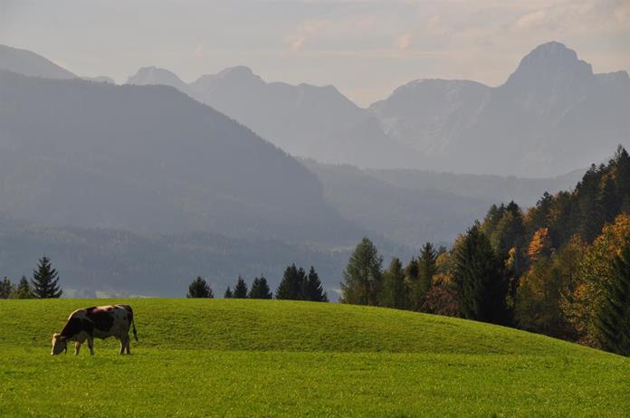 Frühstückspension: Ferienhof Hintergrabenbauer