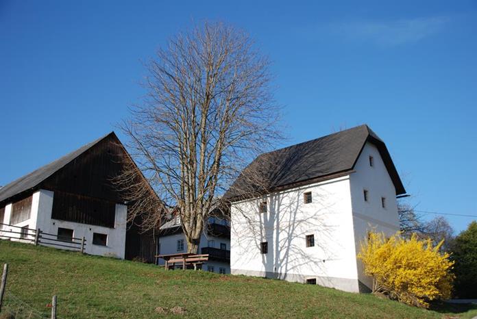 Pensionen - Admont (Admont) - Baby- und Kinderbauernhof Zamsegg