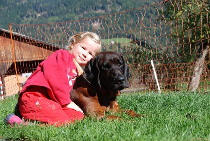 Frühstückspension: Baby- und Kinderbauernhof Zamsegg