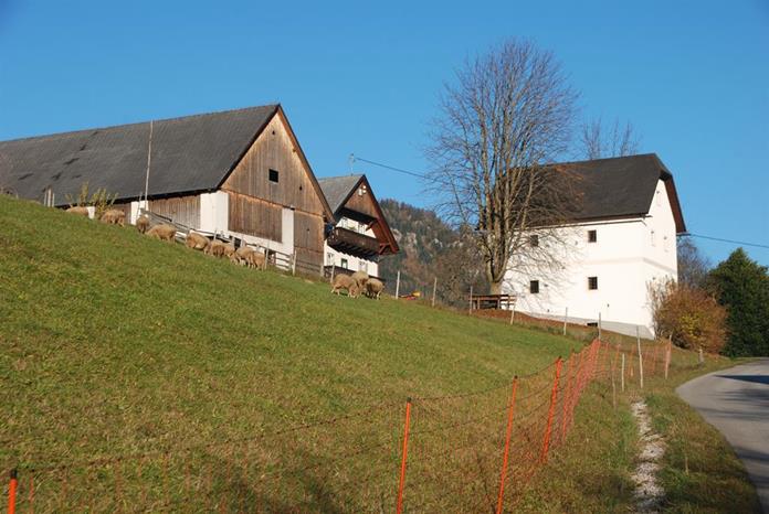 Frühstückspension: Baby- und Kinderbauernhof Zamsegg