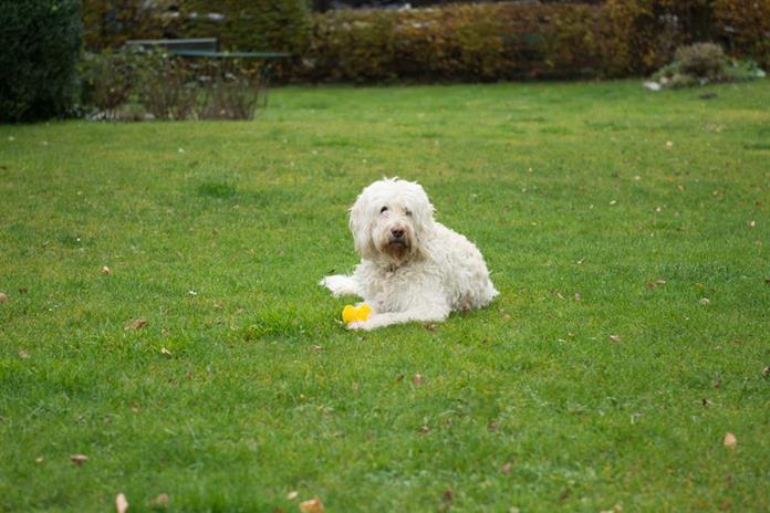 Frühstückspension: Johannahof Appartements