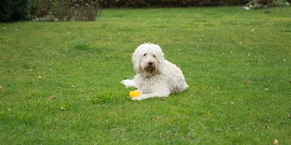 Pensionen - Parkplatz: kostenlos bei der Pension - Leogang - Johannahof Appartements
