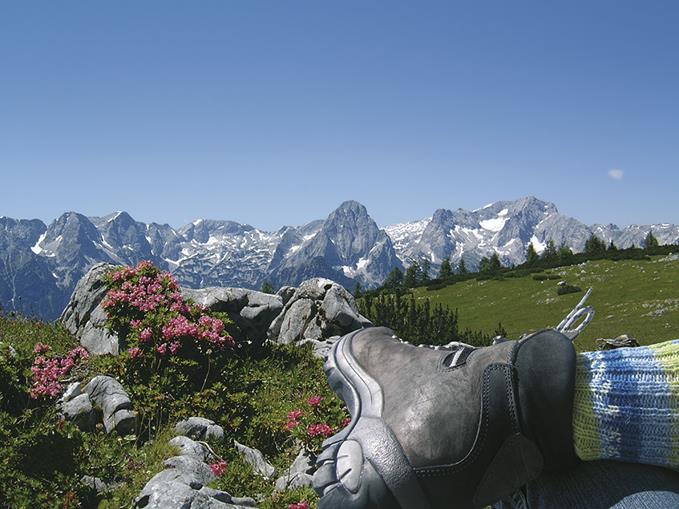 Frühstückspension: Hotel Wallner