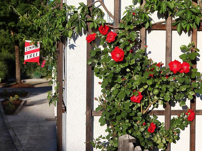 Frühstückspension: Hotel Wallner